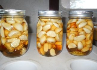 ნივრის, ვაშლის ძმრის და თაფლის კომბინაცია – მკურნალობს ნებისმიერ დაავადებას!