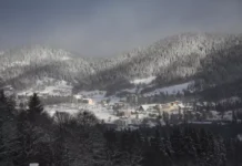 ბინები ბაკურიანში დღიურად – საუკეთესო არჩევანი დასვენებისა და აქტიური მოგზაურობისთვის