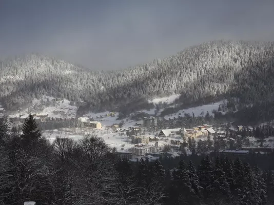 ბინები ბაკურიანში დღიურად – საუკეთესო არჩევანი დასვენებისა და აქტიური მოგზაურობისთვის