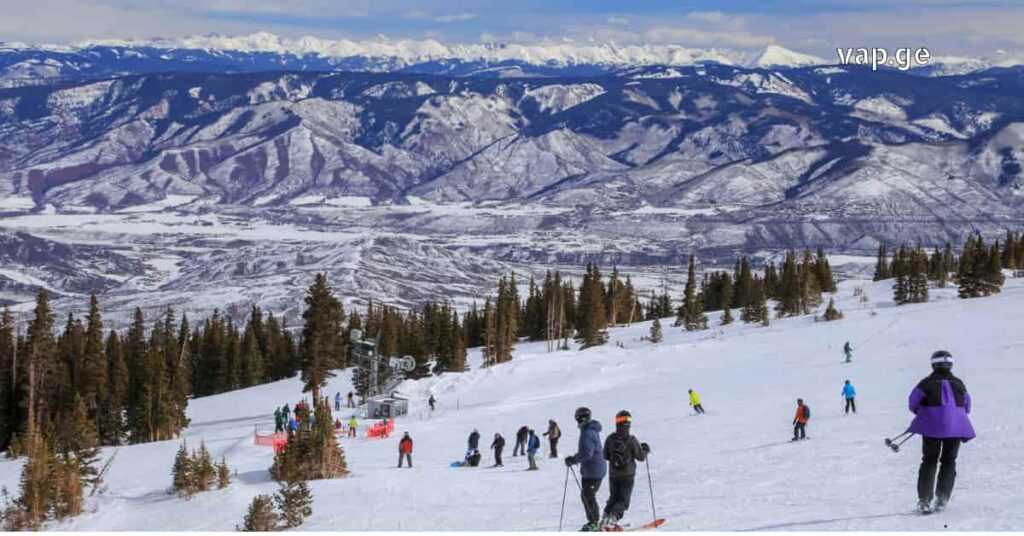 dasveneba bakurianshi