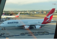 ავიაბილეთების შეძენის საუკეთესო სტრატეგიები და სეზონური ტენდენციები mogzaurobis dagegmva