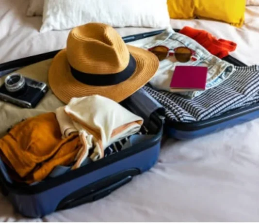 ნივთები, რომლებიც თქვენს თავგადასავალს კომფორტულს გახდის borblebiani chemodani kisris balishi