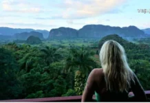 ქალაქები სუნთქავენ, ადამიანები კი მათში მოგზაურობენ travel