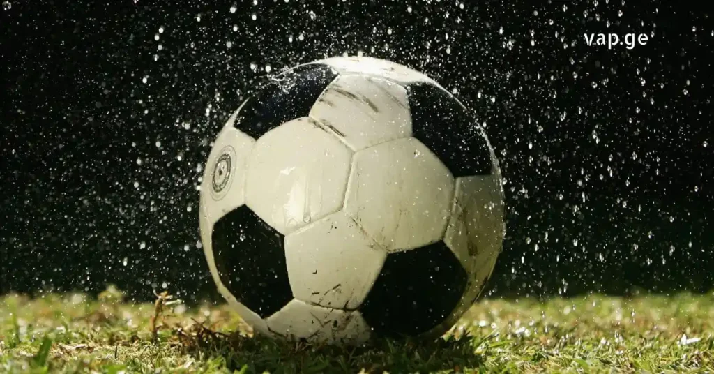 wvima fexburtis dros